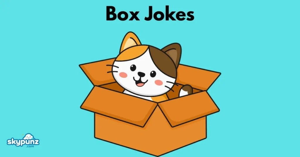 Box Jokes