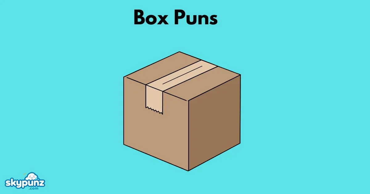 Box Puns