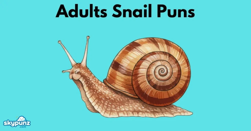 Adults Snail Puns