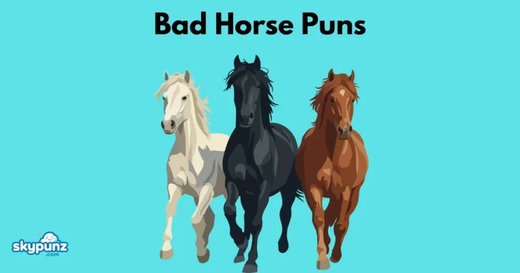 Bad Horse Puns