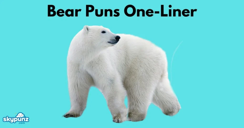 Bear Puns One Liner