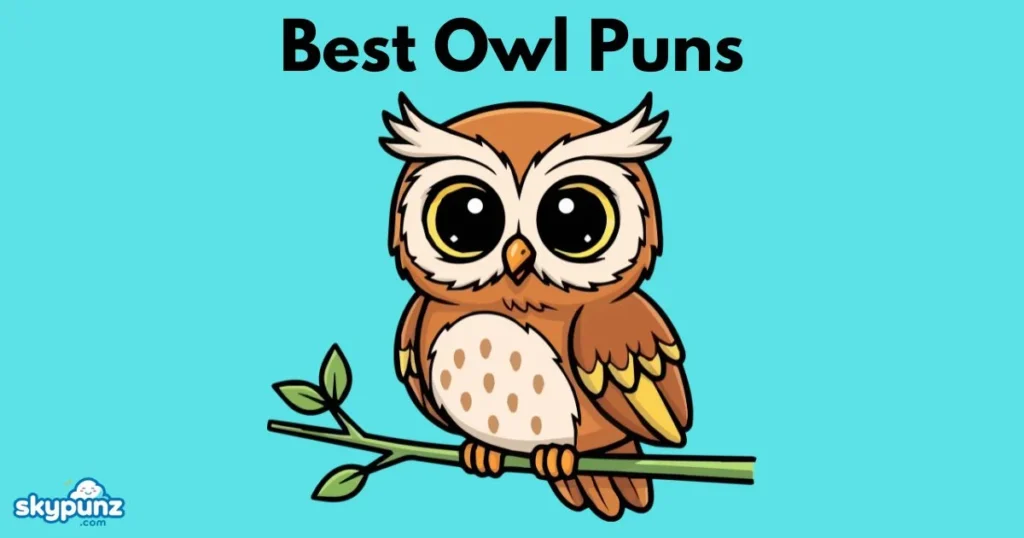 Best Owl Puns