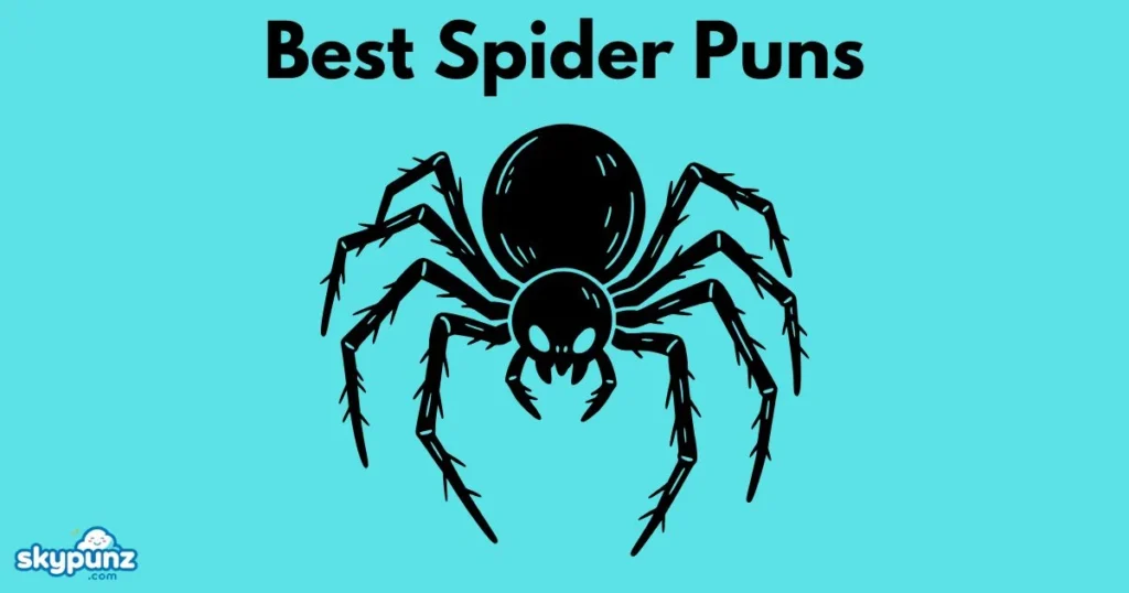 Best Spider Puns