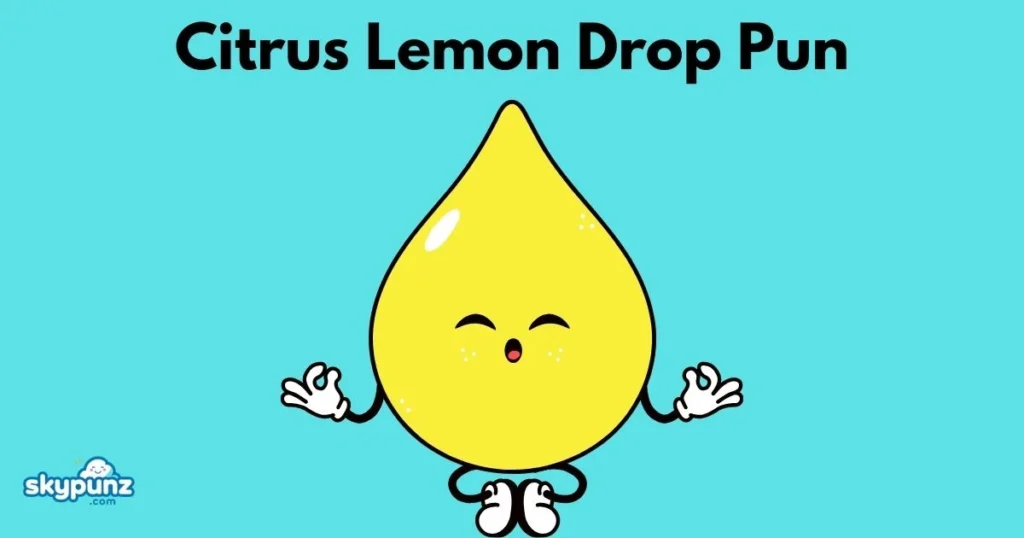 Citrus Lemon Drop Pun