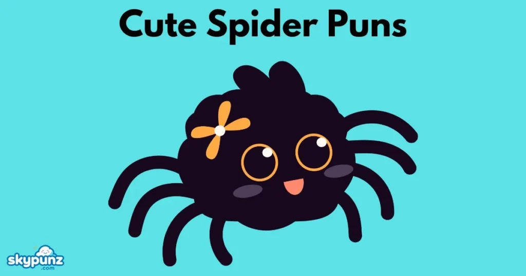 Cute Spider Puns