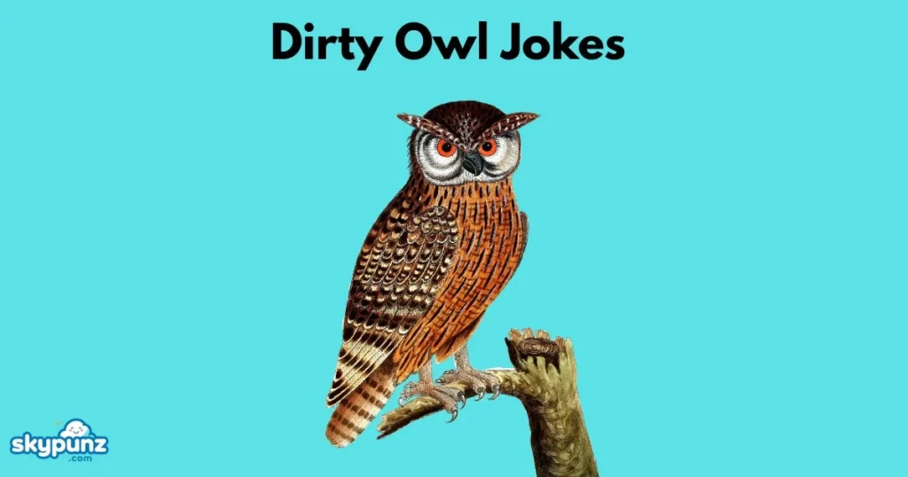 Dirty Owl Jokes