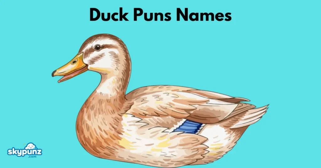 Duck Puns Names