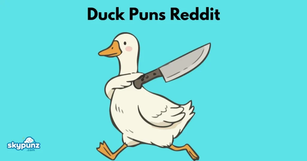 Duck Puns Reddit 1