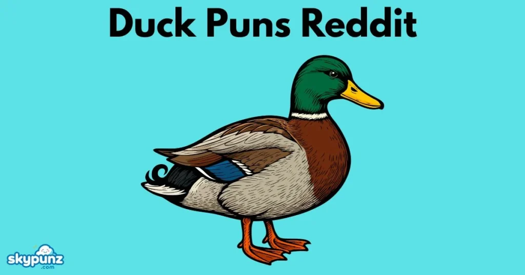 Duck Puns Reddit