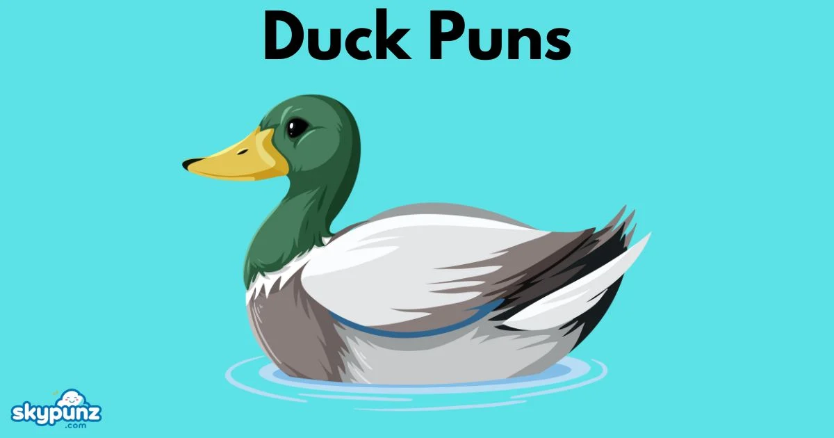 Duck Puns