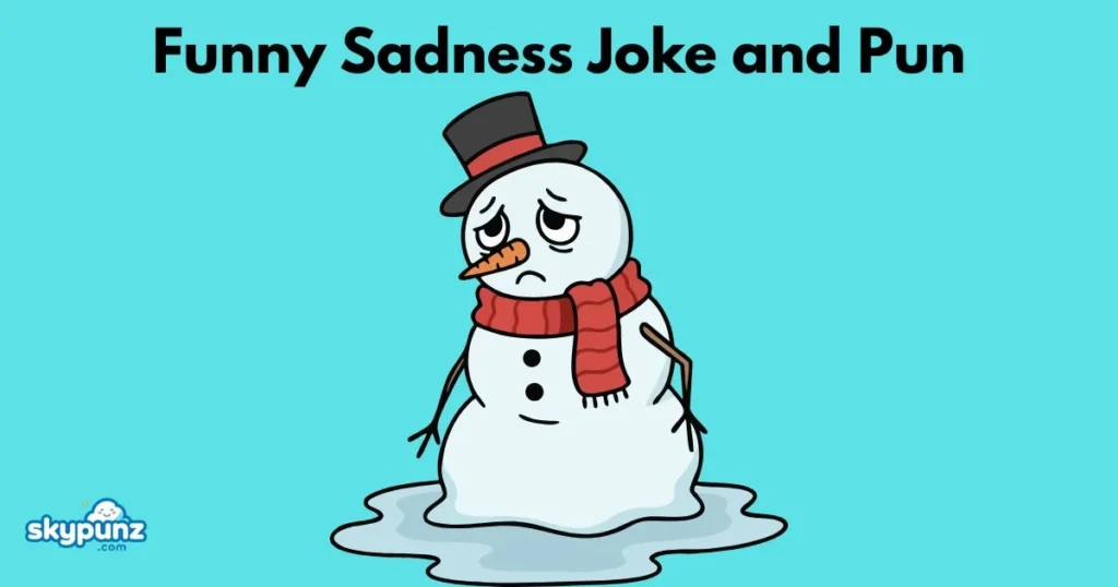 Funny Sadness Joke And Pun
