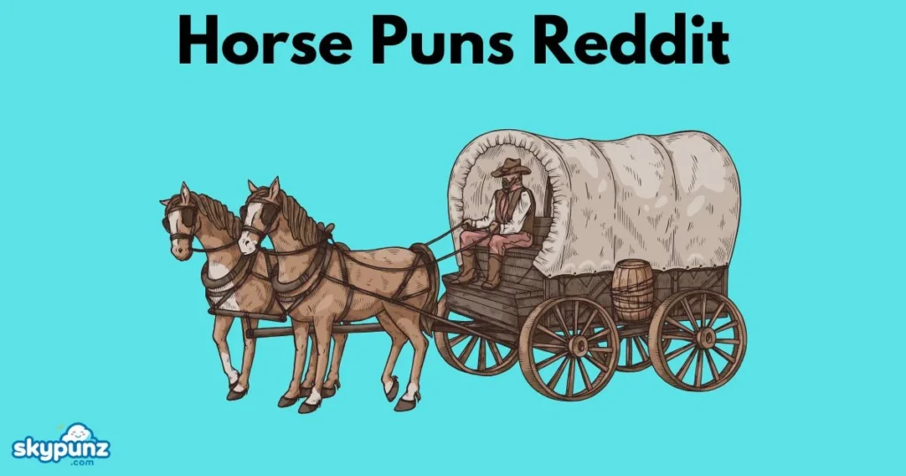 Horse Puns Reddit