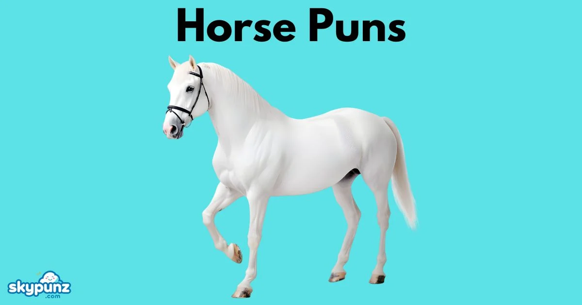 Horse Puns