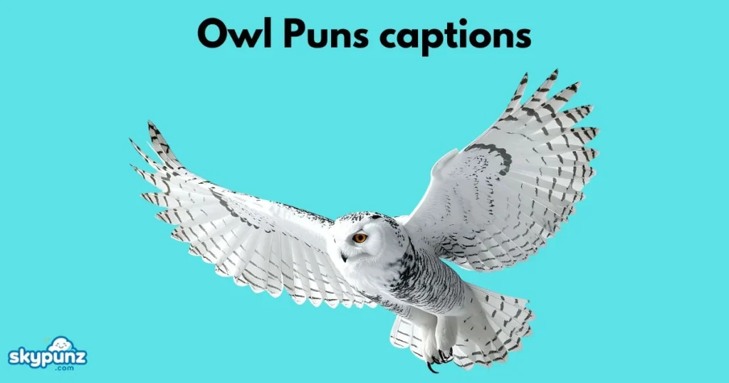 Owl Puns Captions