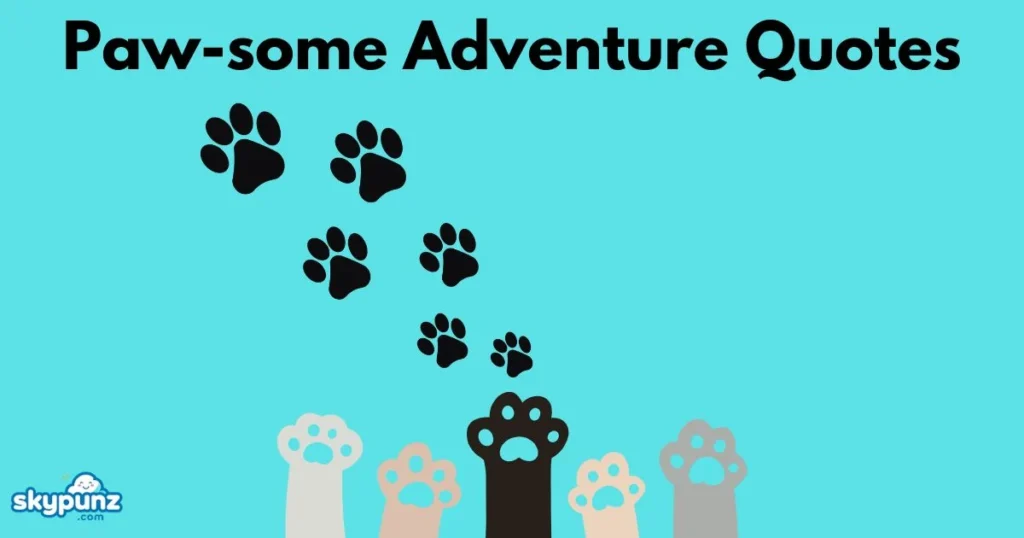 Paw Some Adventure Quotes