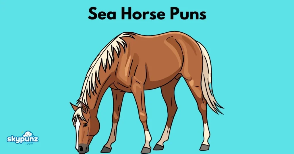 Sea Horse Puns