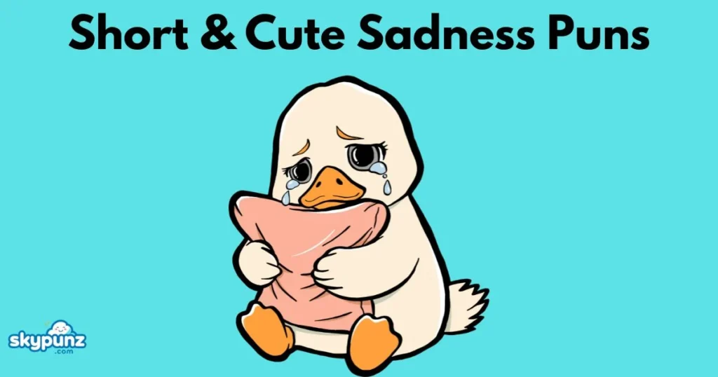 Short And Cute Sadness Puns