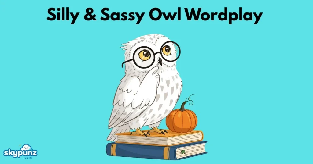 Silly And Sassy Owl Wordplay