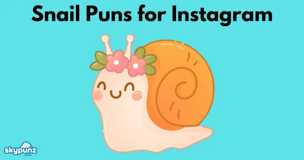 Snail Puns For Instagram
