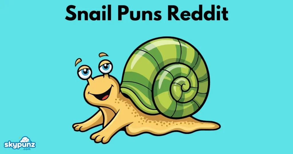 Snail Puns Reddit