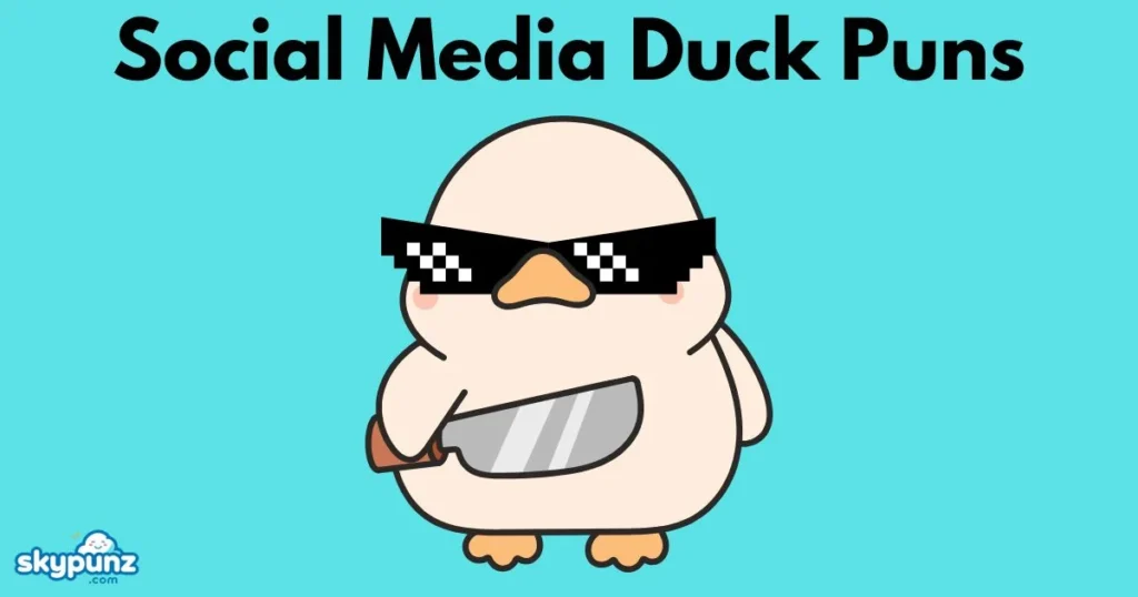 Social Media Duck Puns