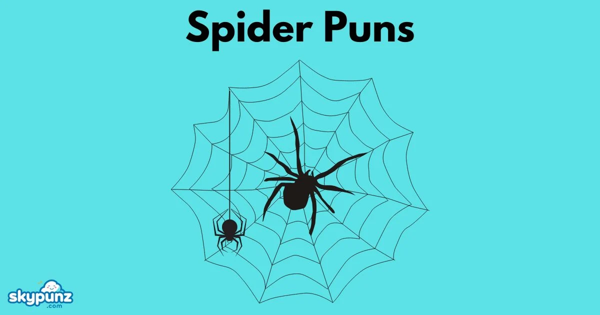 Spider Puns