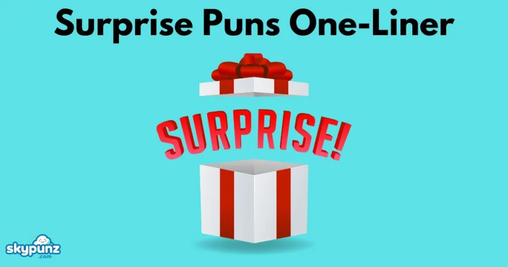 Surprise Puns One Liner