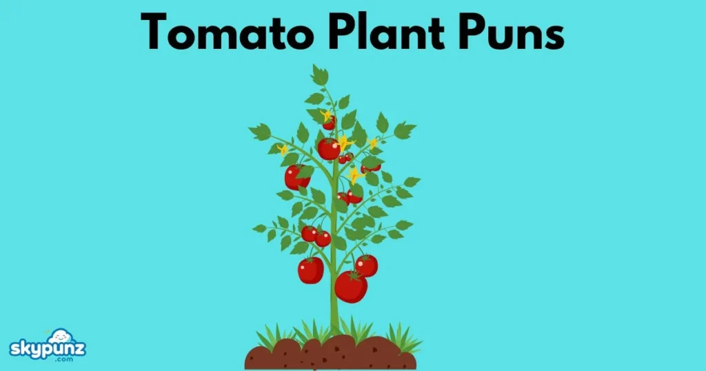 Tomato Plant Puns