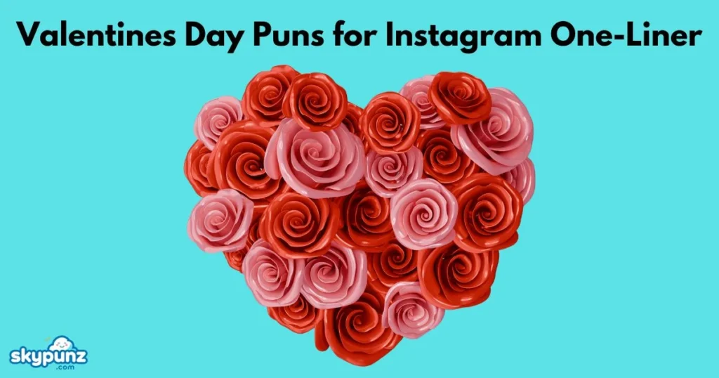 Valentines Day Puns For Instagram One Liner