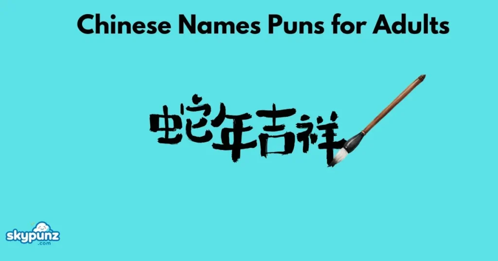 Chinese Names Puns For Adults