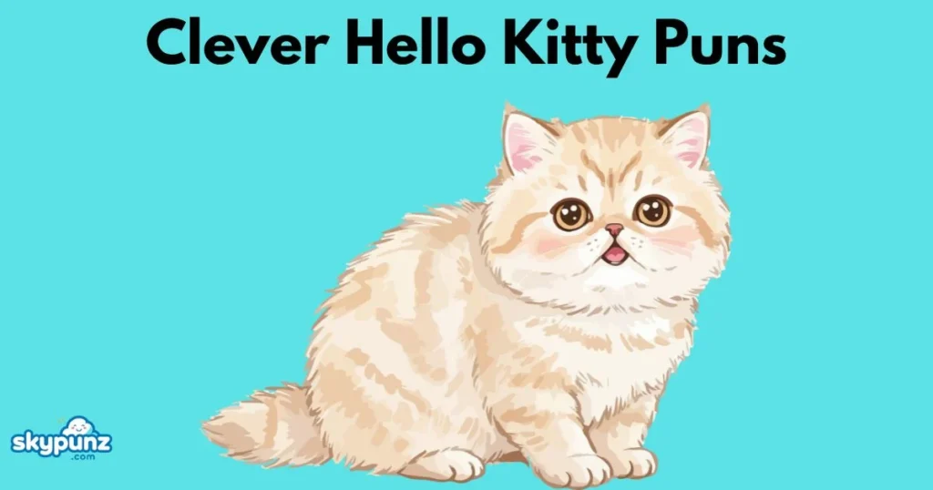 Clever Hello Kitty Puns