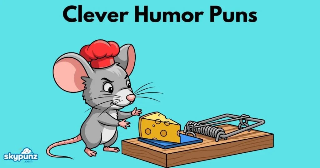 Clever Humor Puns
