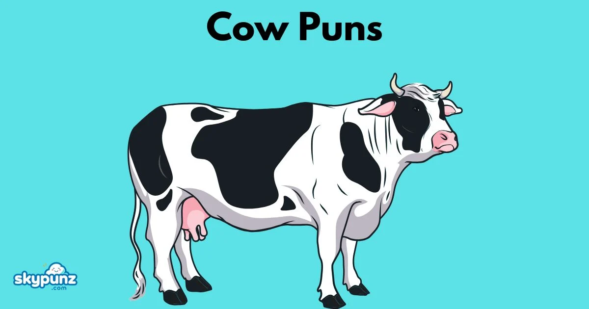 Cow Puns