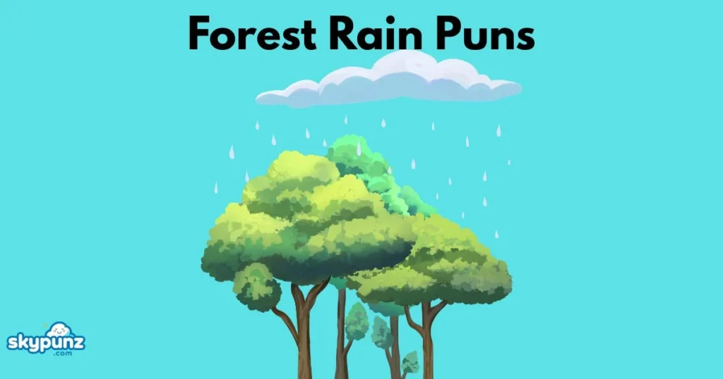 Forest Rain Puns