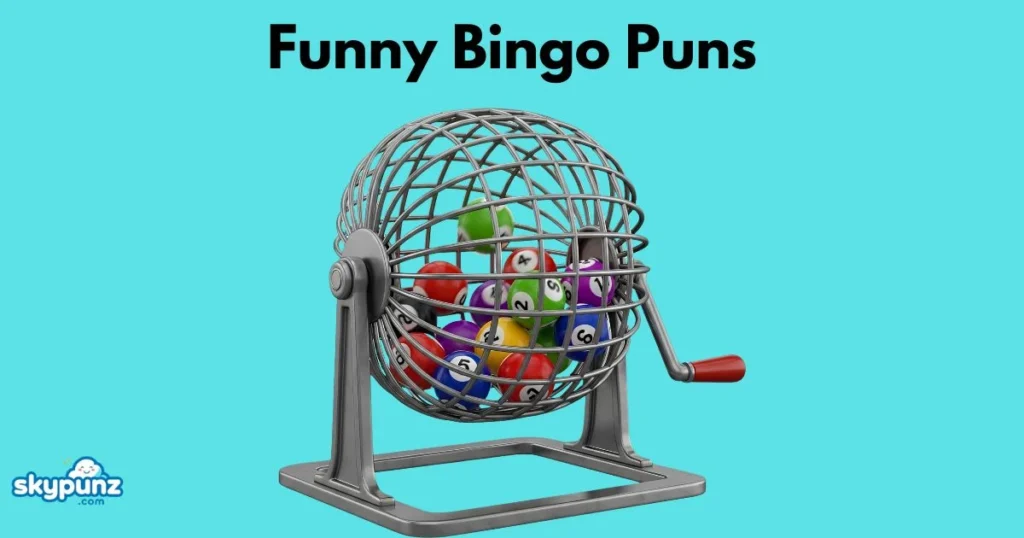 Funny Bingo Puns