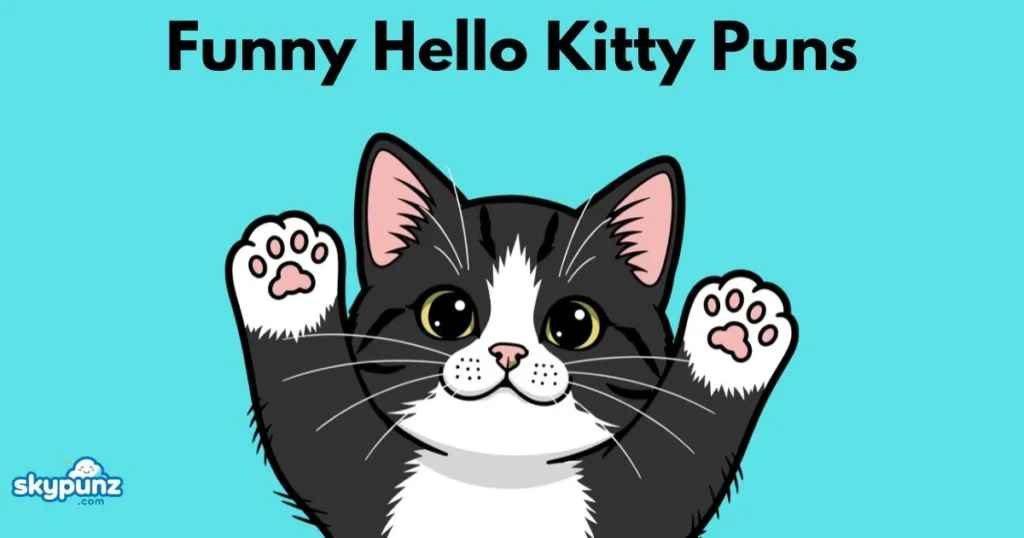 Funny Hello Kitty Puns