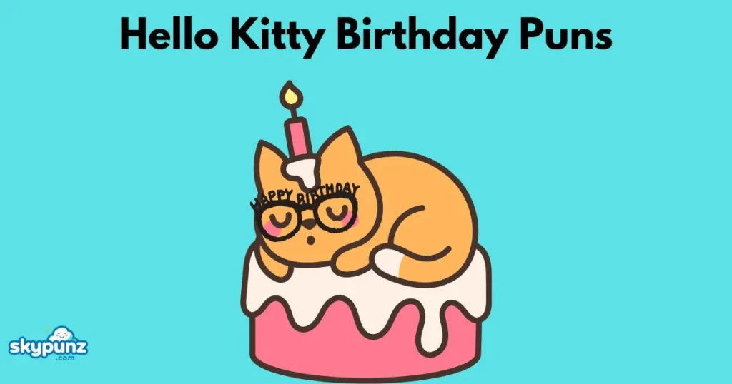 Hello Kitty Birthday Puns