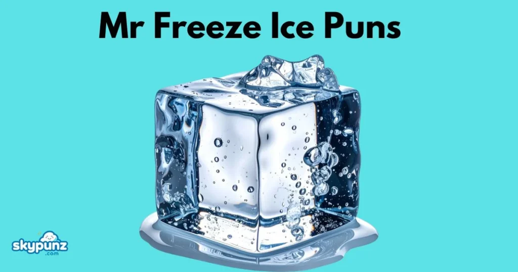 Mr Freeze Ice Puns