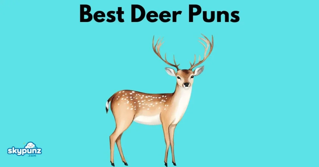 Best Deer Puns