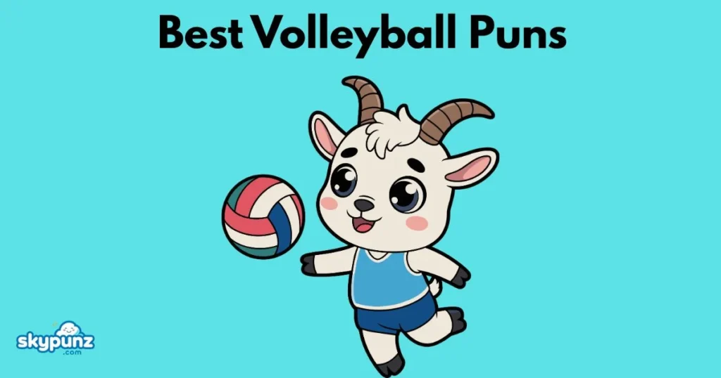 Best Volleyball Puns