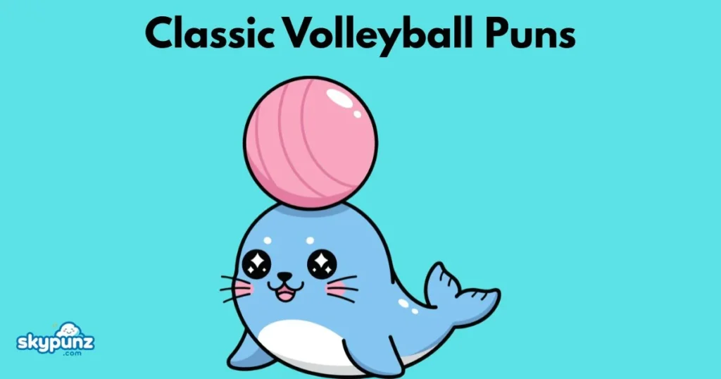 Classic Volleyball Puns