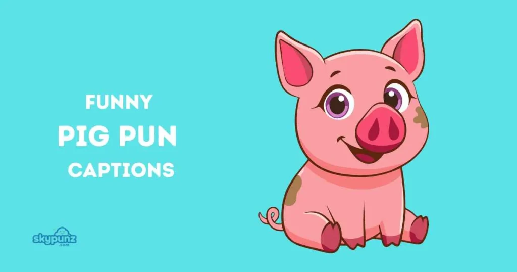 Funny Pig Pun Captions