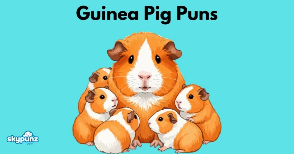 Guinea Pig Puns