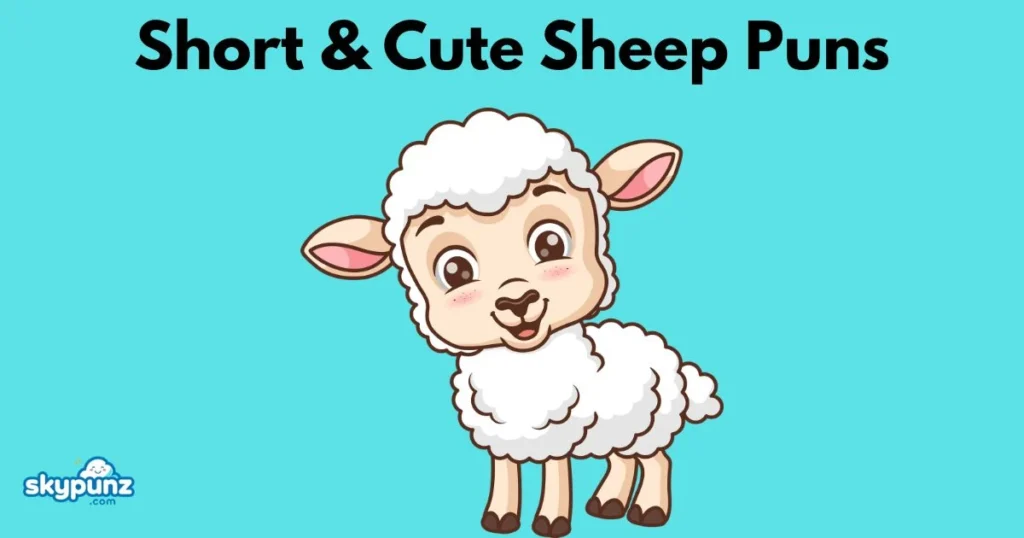 Short And Cute Sheep Puns