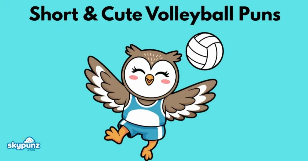 Short And Cute Volleyball Puns