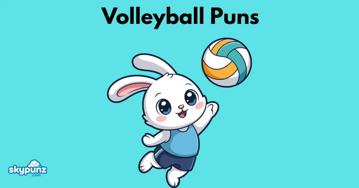 Volleyball Puns