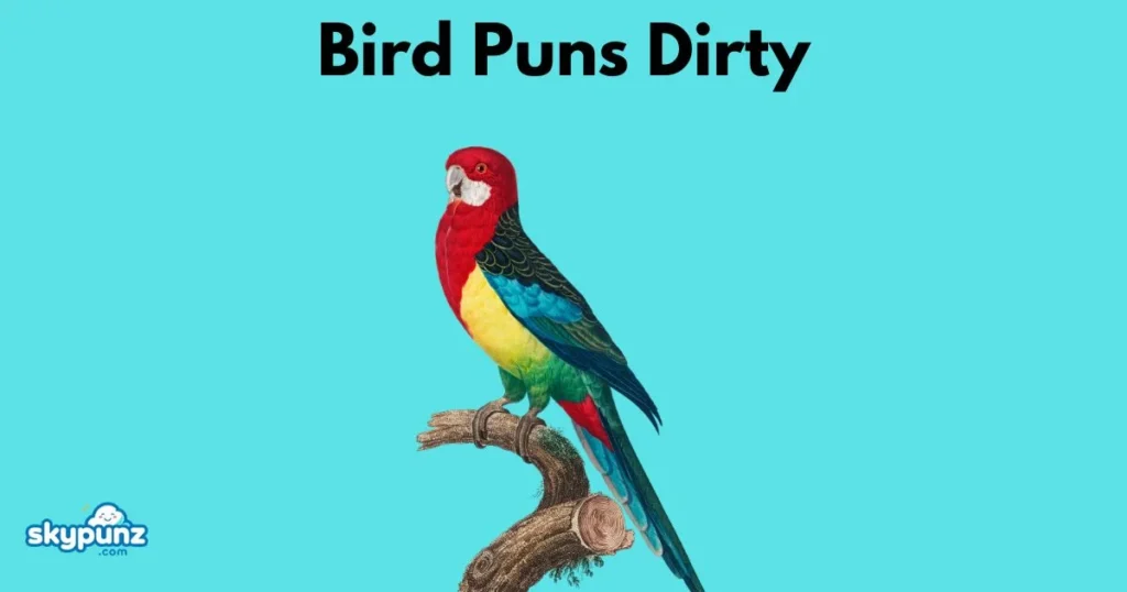 Bird Puns Dirty