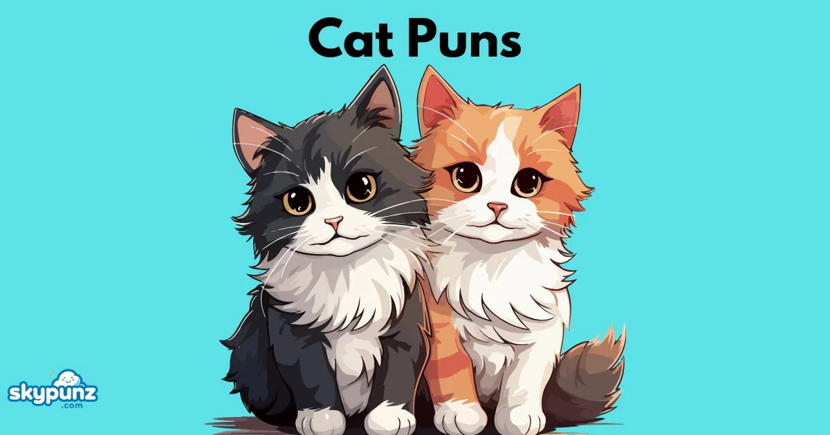 Cat Puns