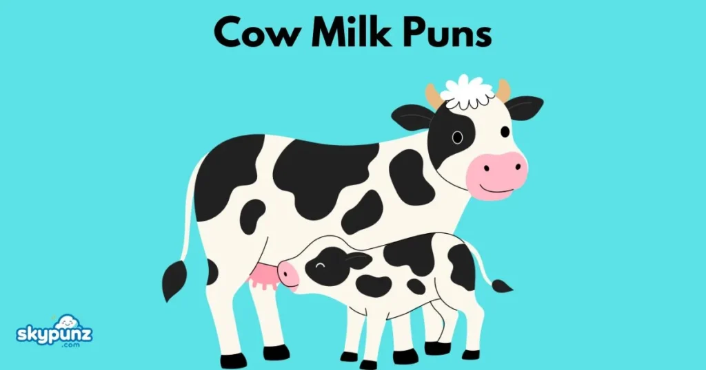 Cow Milk Puns