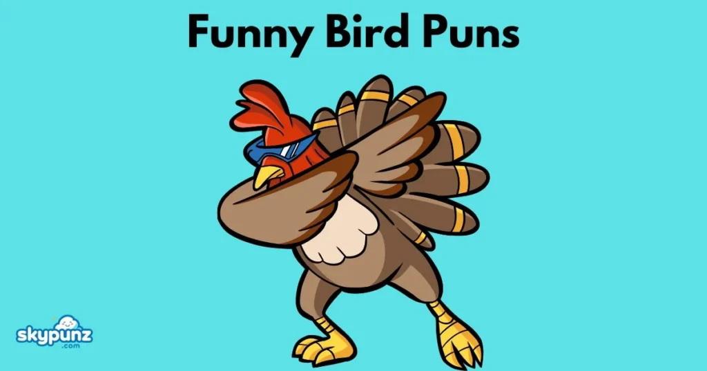 Funny Bird Puns
